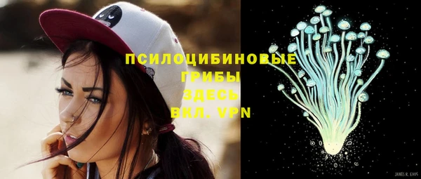 а пвп мука Абаза